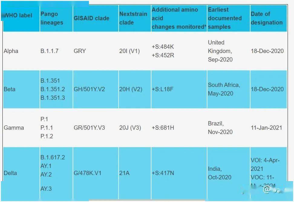 2024新澳门开奖结果,全面分析应用数据_MP42.612