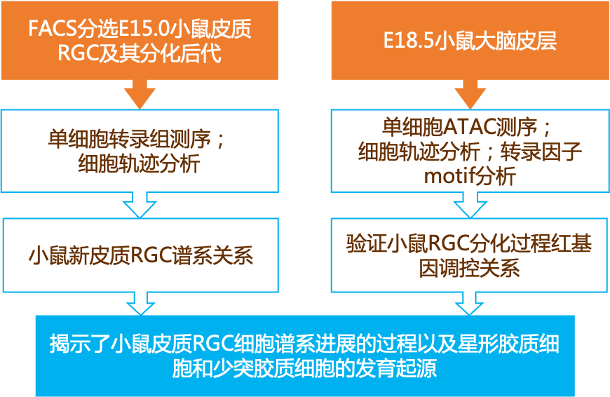 新奥最精准资料大全,精细解读解析_Hybrid74.505